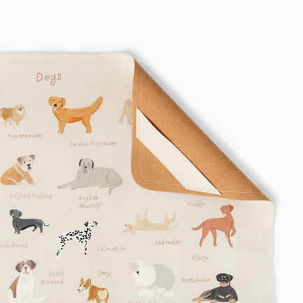 Finds for Little Ones
